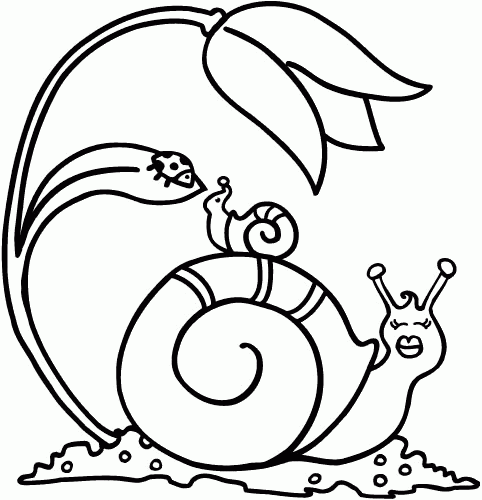 Two Snail Coloring Page Free Printable Coloring Pages For Kids
