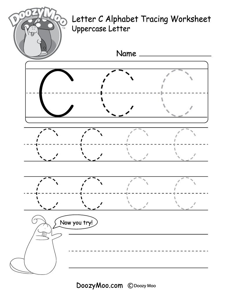 Uppercase Letter B Tracing Worksheet Doozy Moo