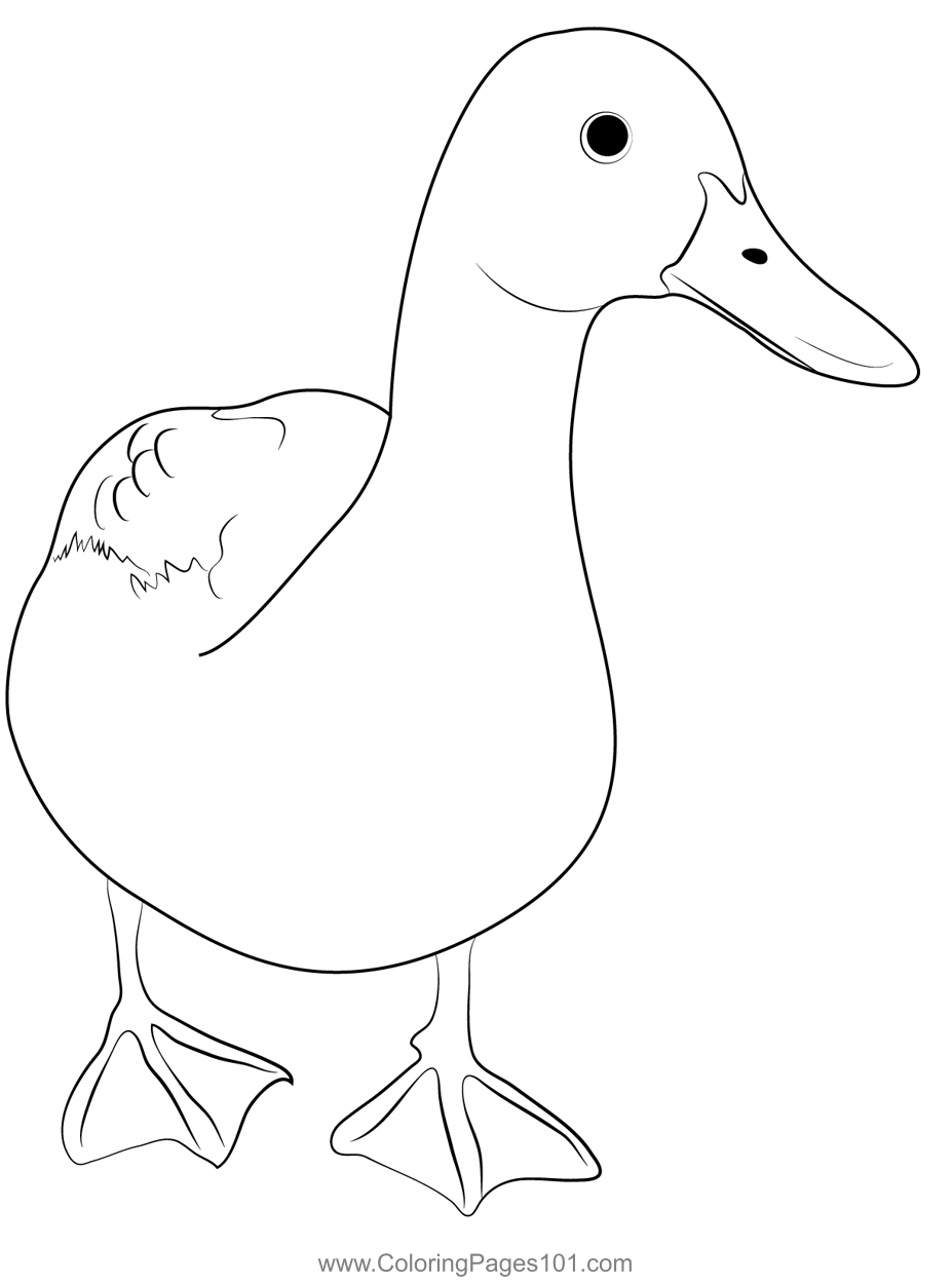 Walking Ducks Coloring Page For Kids Free Ducks Printable Coloring