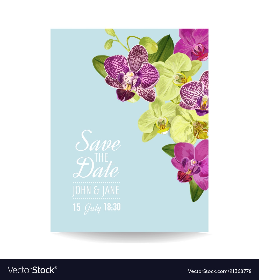 Wedding Invitation Layout Template Orchid Flowers Vector Image