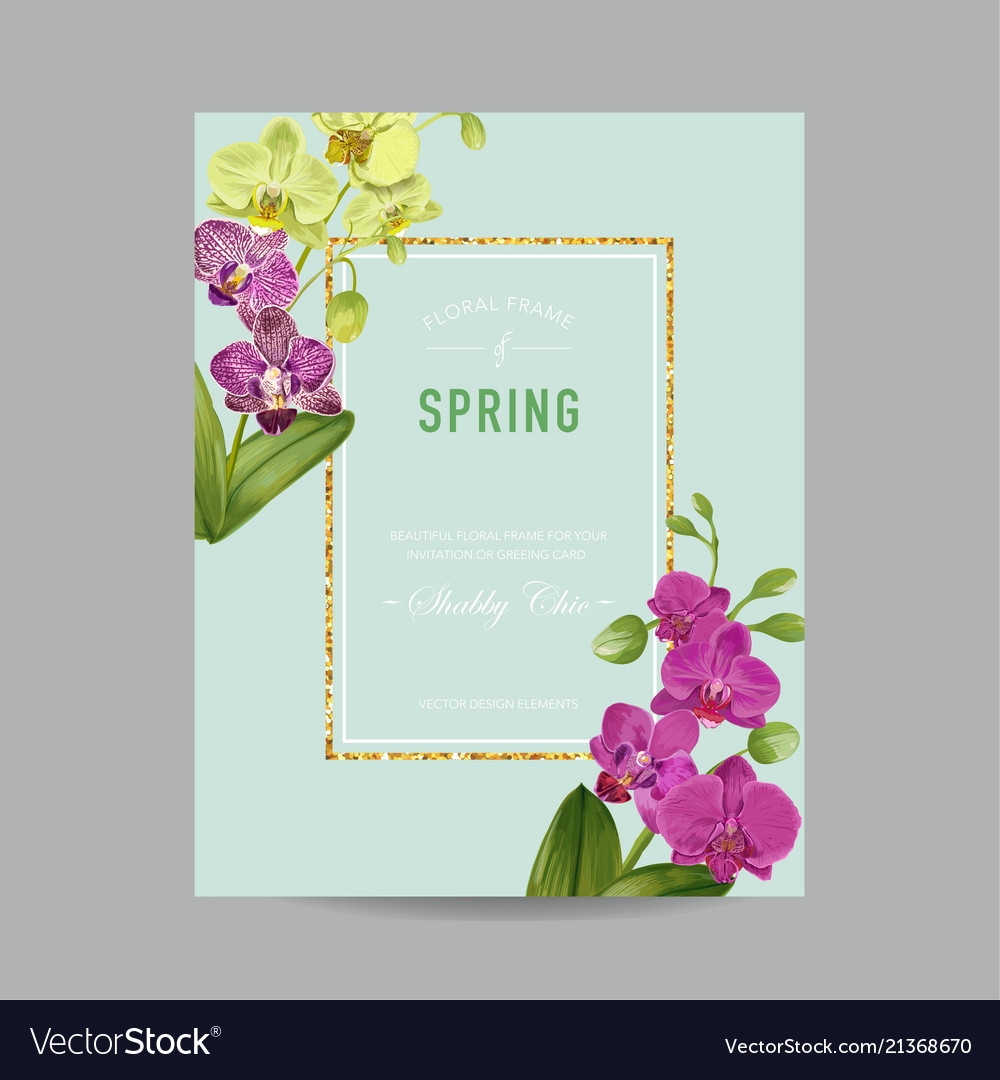 Wedding Invitation Layout Template Orchid Flowers Vector Image