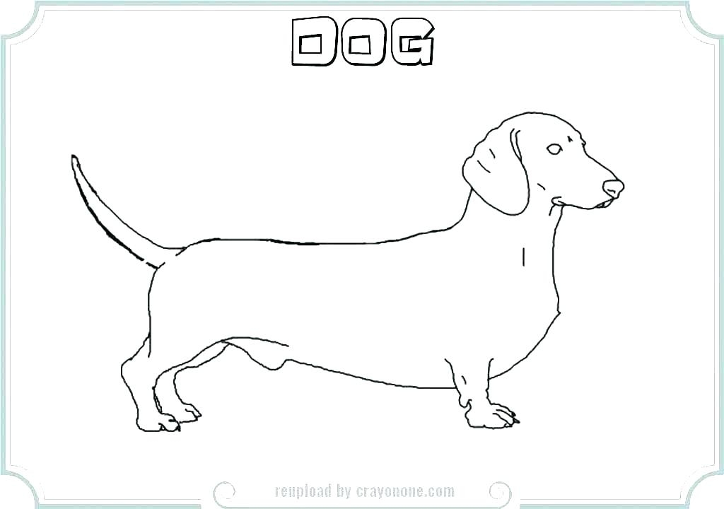 Weiner Dog Coloring Page At GetDrawings Free Download