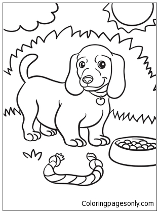 Weiner Dog Puppy Coloring Page Free Printable Coloring Pages