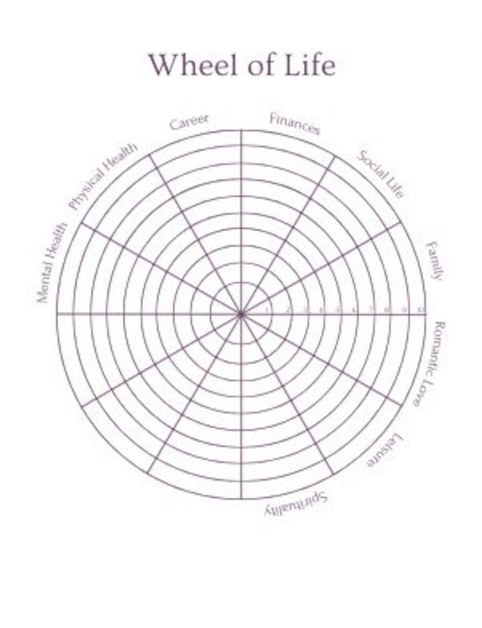 Wheel Of Life Worksheet Template Wheel Of Life Printable PDF Etsy