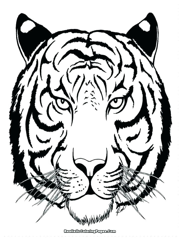 Tiger Color Page