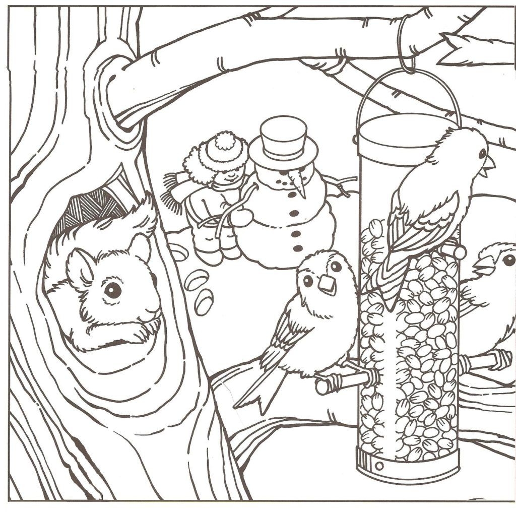 Adult Winter Coloring Pages