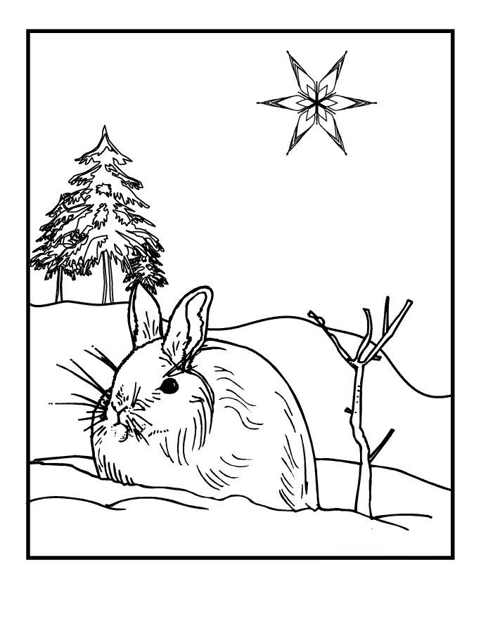 Winter Coloring Pages Preschoolers Book For Kids 