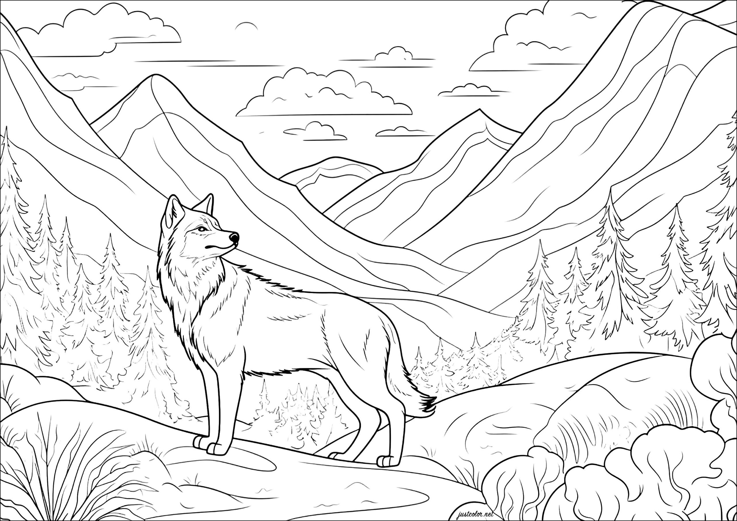 Wolf In The Mountain Wolf Coloring Pages For Adults