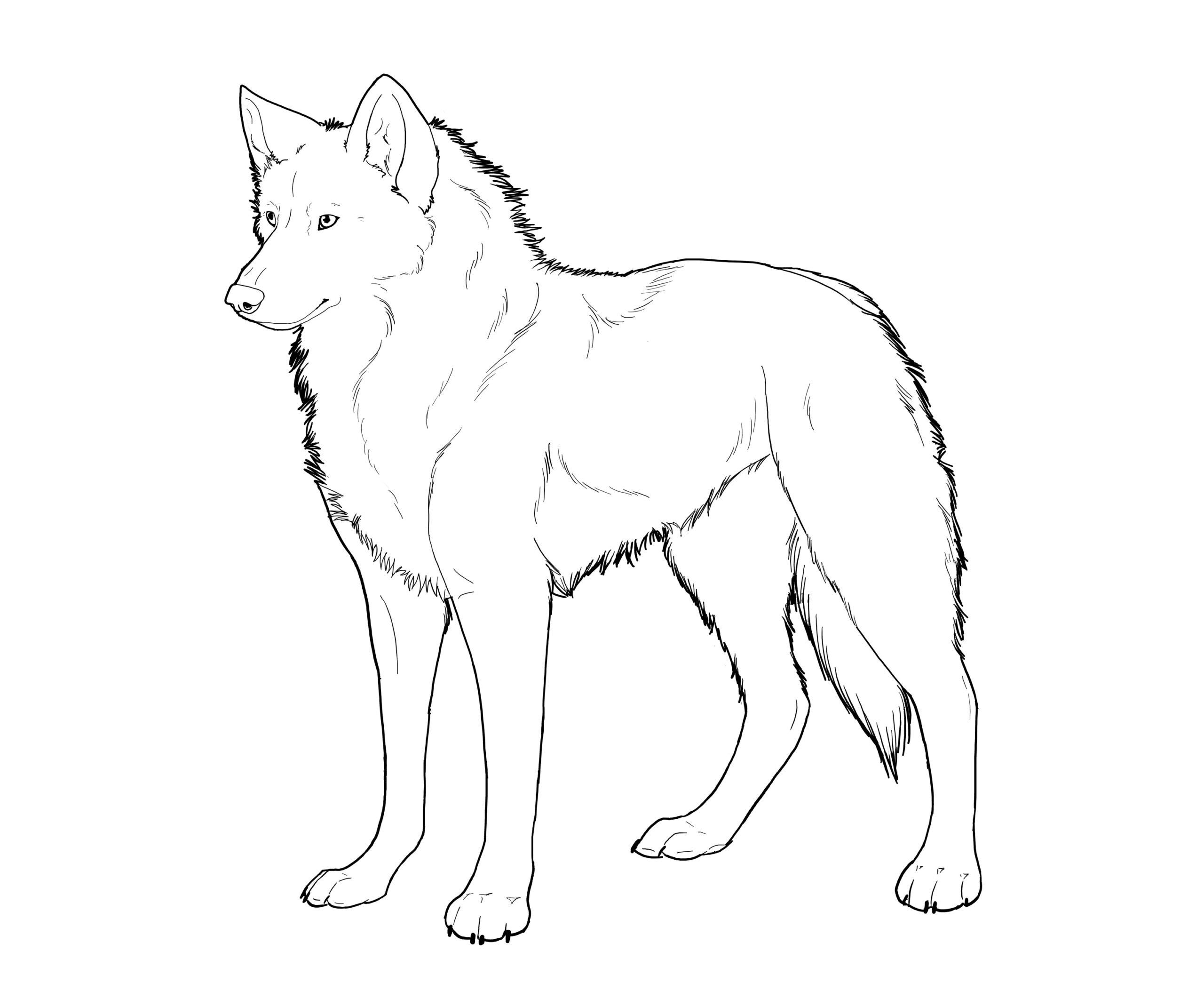 Wolves Color Sheets