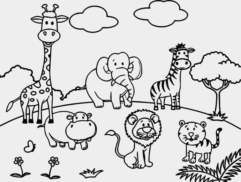 Zoo Coloring Pages Free Printable