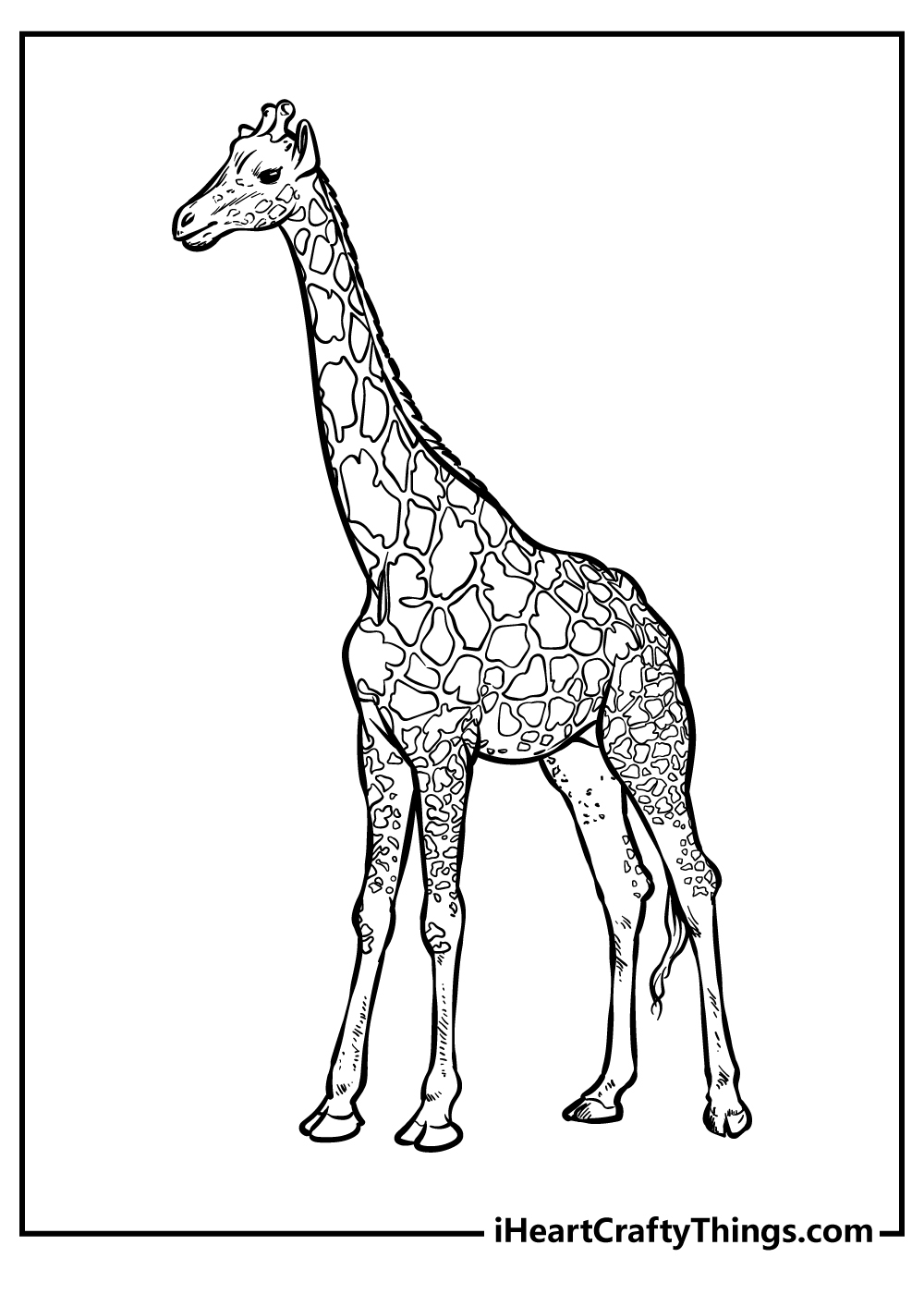 Zoo Coloring Pages Free Printable